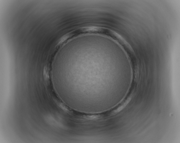 X0000113291017200909281008