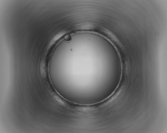 X0000113291018200909281008