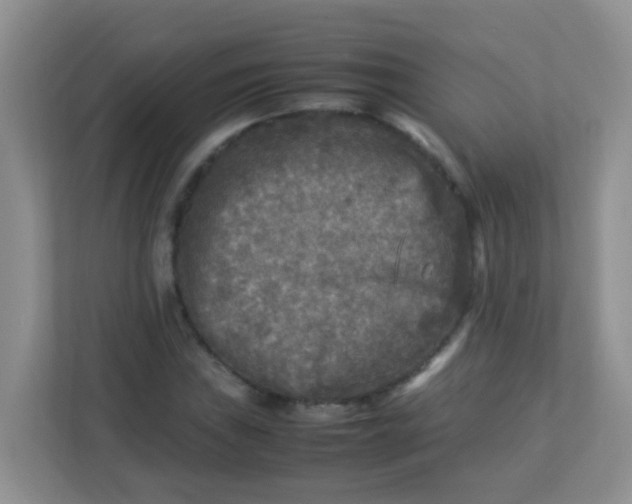 X0000113291019200909281008