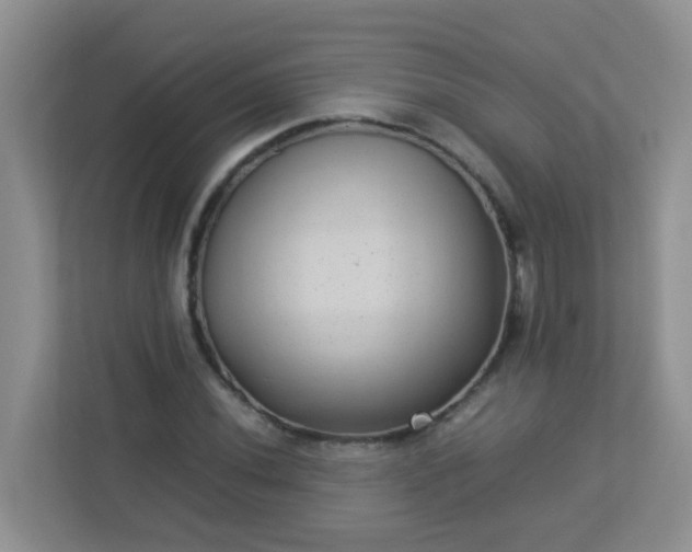 X0000113291020200909281008