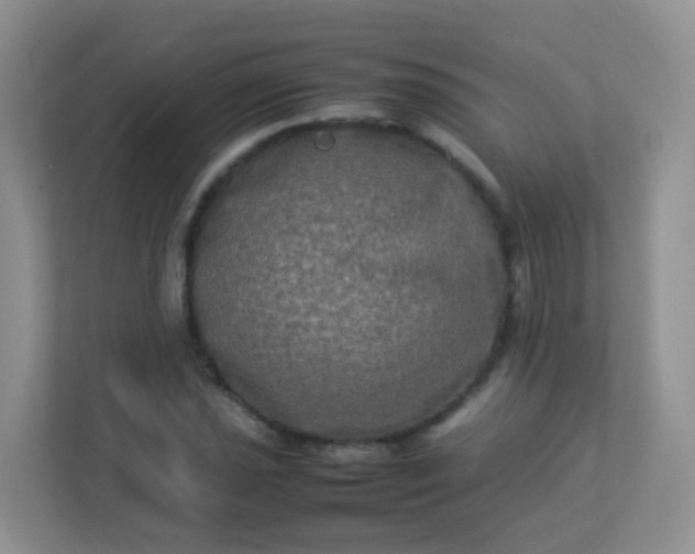 X0000113291021200909281008