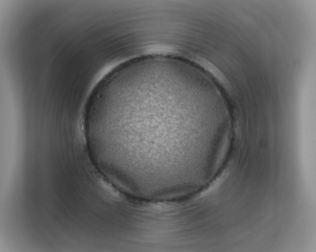 X0000113291022200909281008