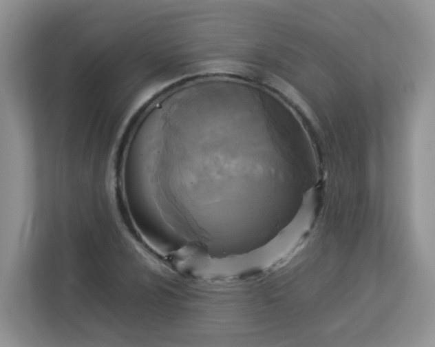 X0000113291024200909281008