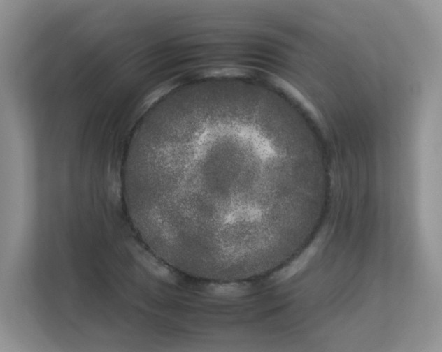 X0000113291025200909281008