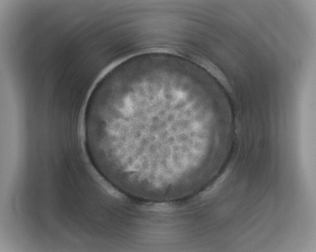 X0000113291028200909281008