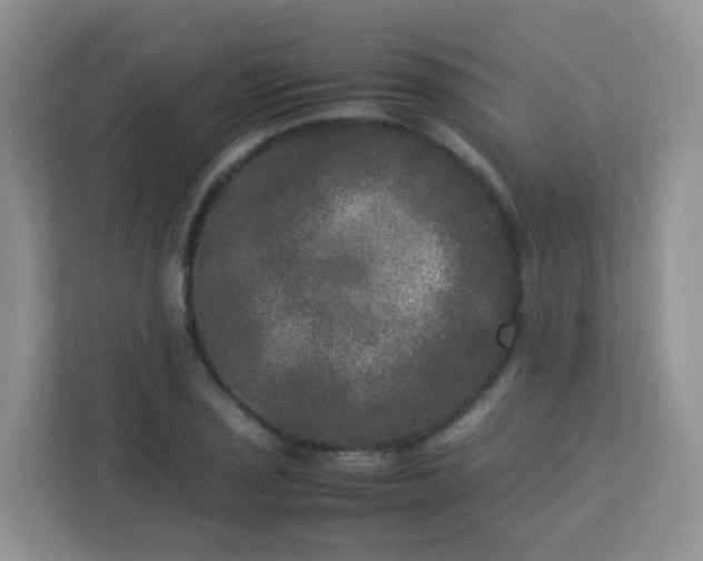 X0000113291029200909281008