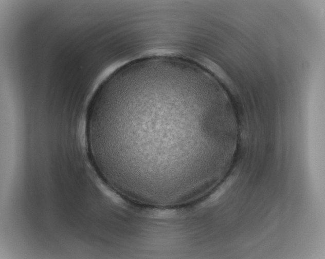 X0000113291030200909281008