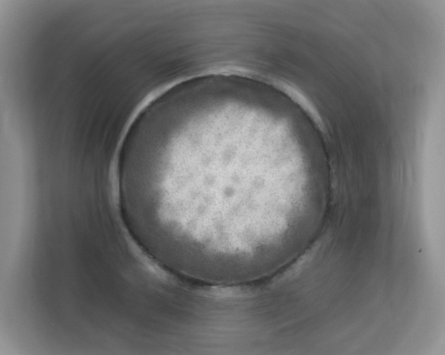 X0000113291032200909281008