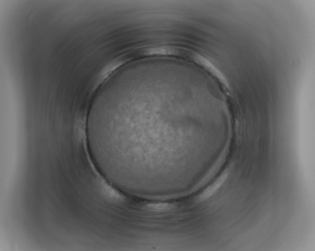 X0000113291033200909281008