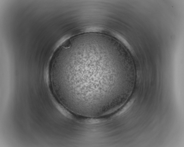 X0000113291034200909281008