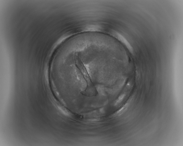 X0000113291035200909281008