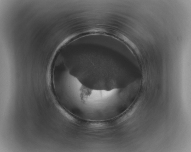 X0000113291037200909281008