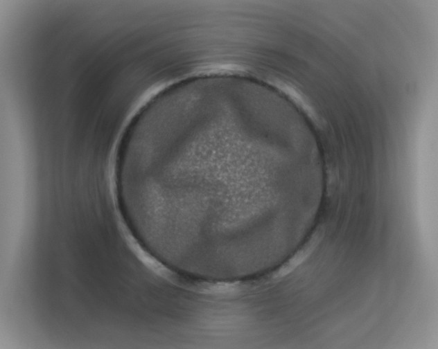 X0000113291038200909281008