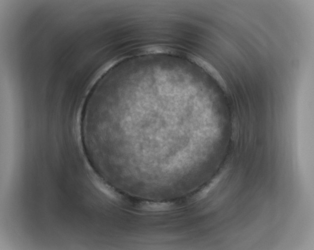 X0000113291039200909281008