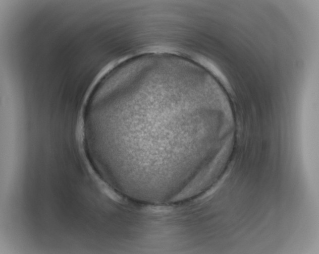 X0000113291040200909281008