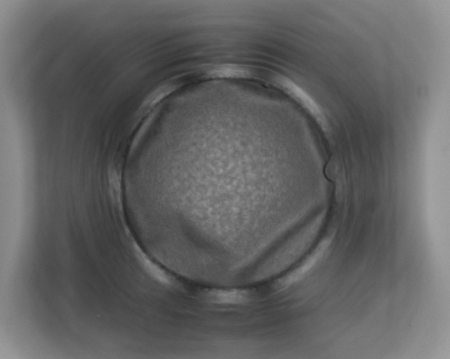 X0000113291041200909281008