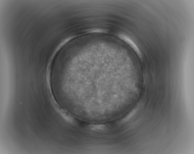 X0000113291043200909281008