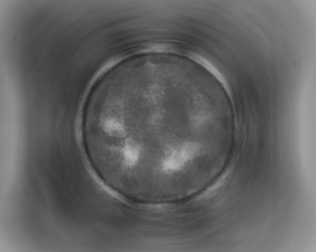 X0000113291045200909281008