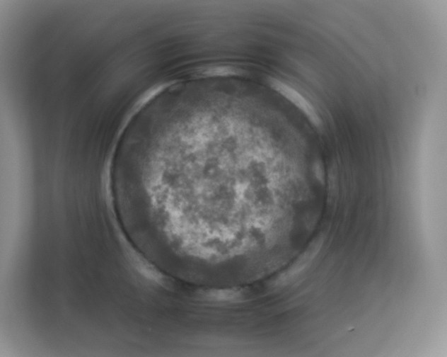 X0000113291047200909281008