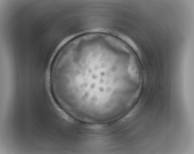 X0000113291048200909281008