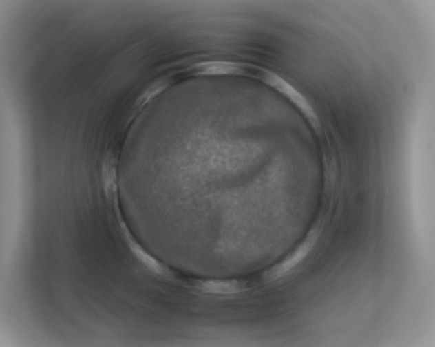 X0000113291049200909281008