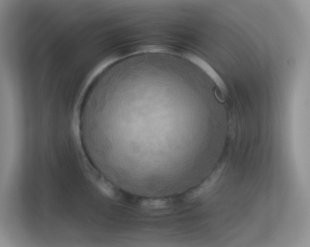 X0000113291051200909281008