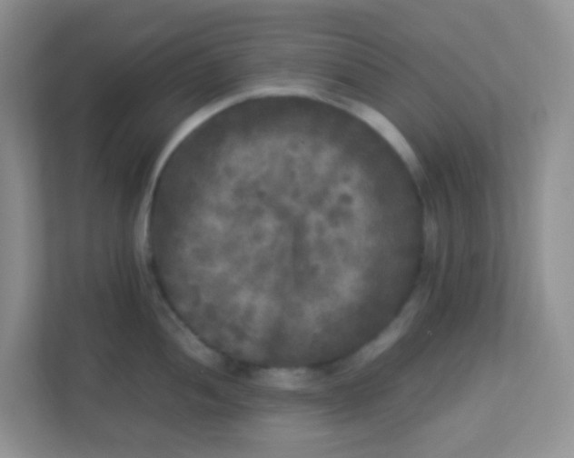 X0000113291052200909281008