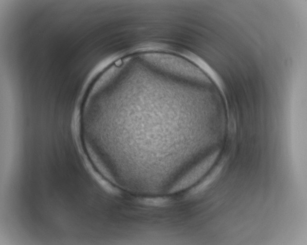 X0000113291053200909281008