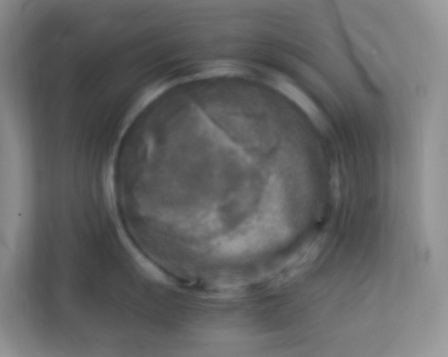 X0000113291055200909281008