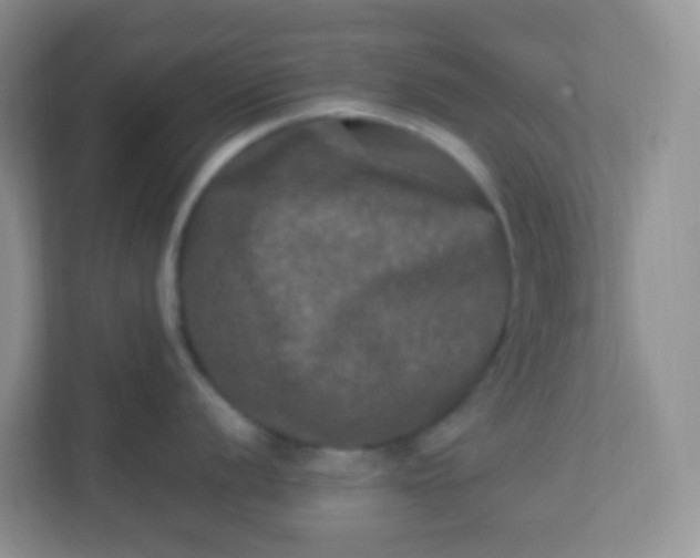 X0000113291056200909281008