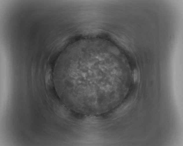 X0000113291059200909281007