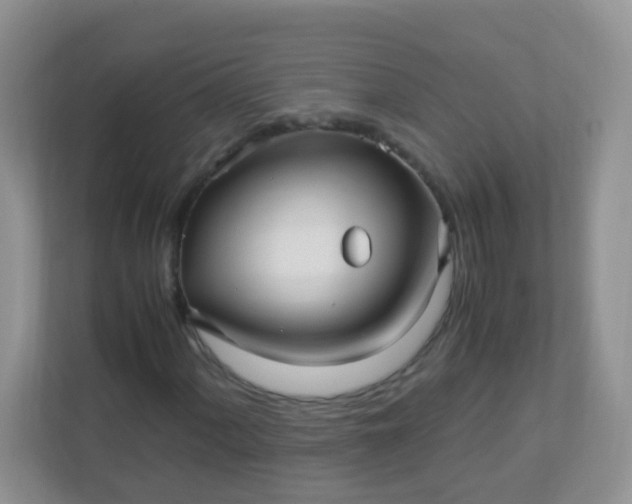 X0000113291060200909281007