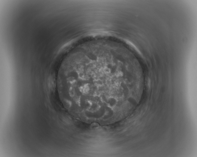 X0000113291063200909281007