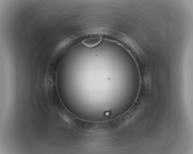 X0000113291064200909281007