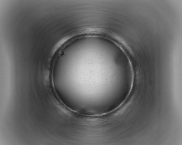 X0000113291066200909281007