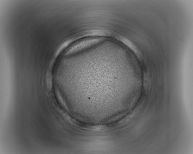 X0000113291067200909281007