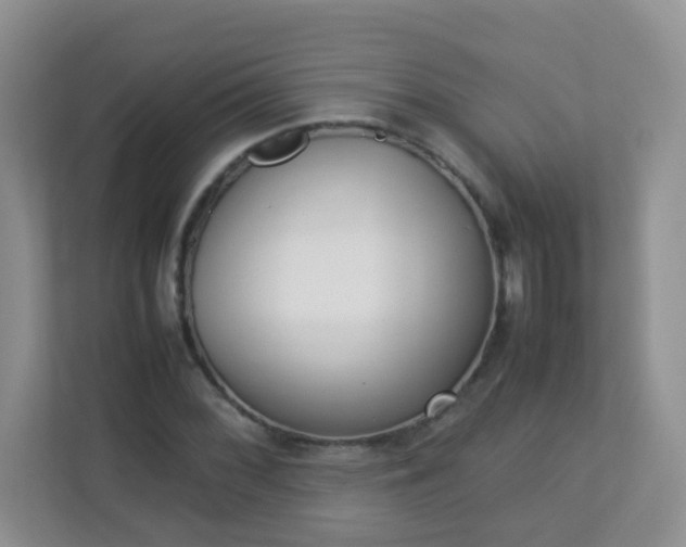 X0000113291068200909281007