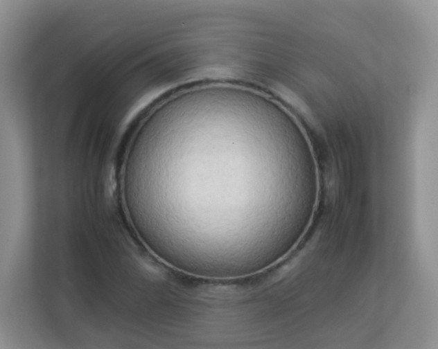 X0000113291070200909281007