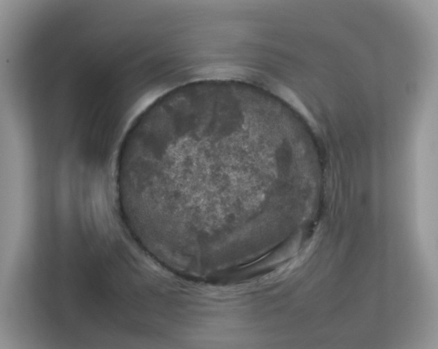 X0000113291071200909281007