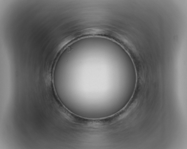 X0000113291073200909281007