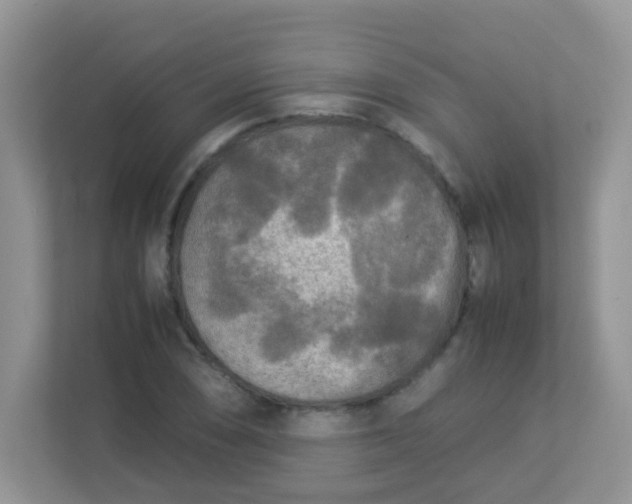 X0000113291074200909281007