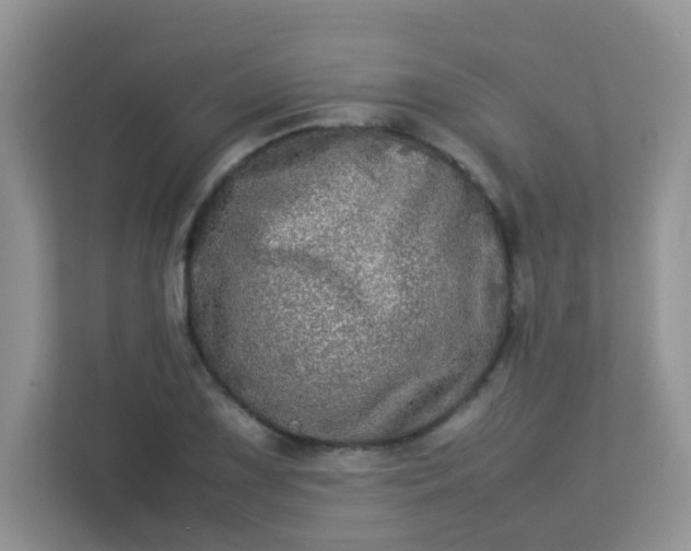 X0000113291075200909281007