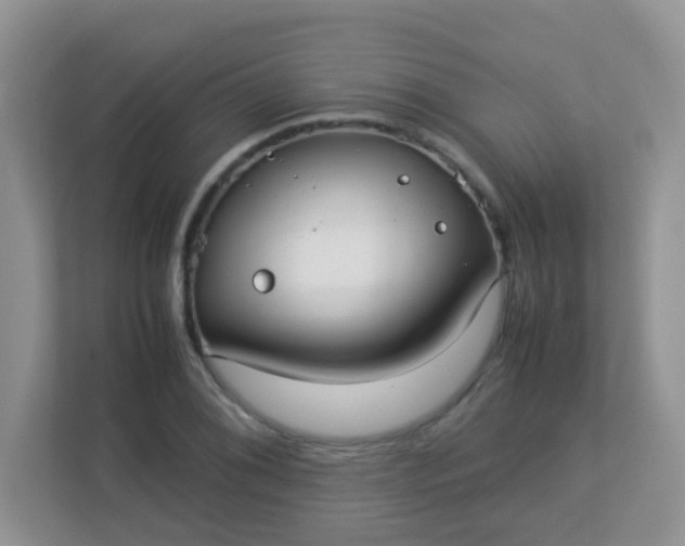 X0000113291076200909281007