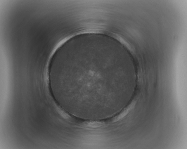 X0000113291077200909281007