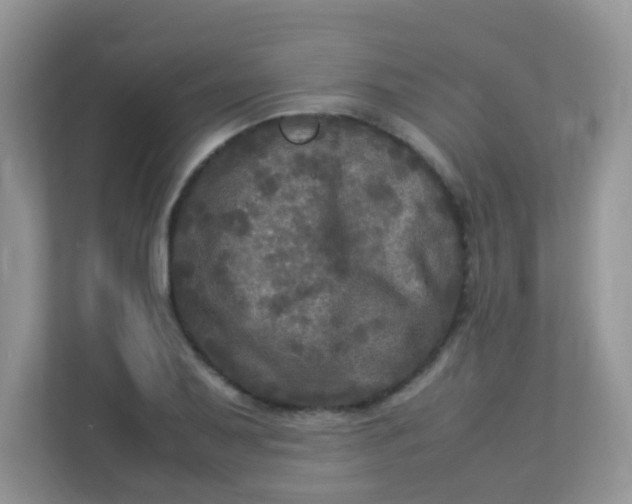 X0000113291079200909281007