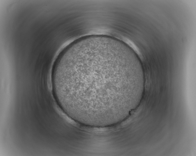 X0000113291080200909281007