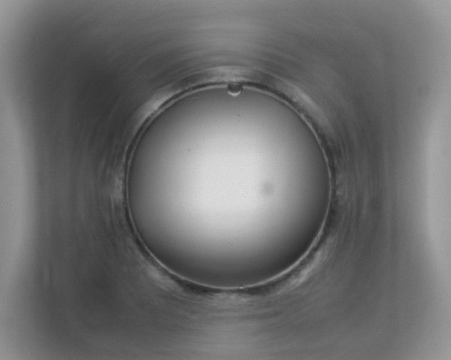 X0000113291081200909281007