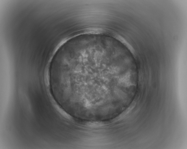 X0000113291083200909281007