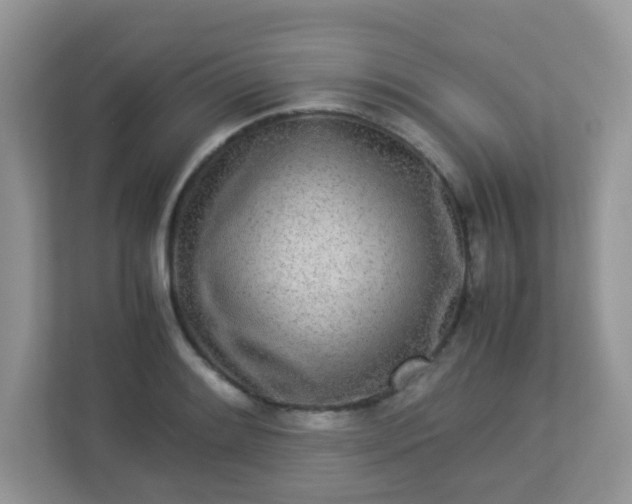 X0000113291084200909281007