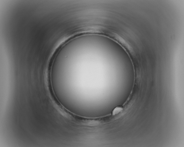 X0000113291085200909281007